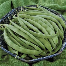 Bountiful, Bean Seeds